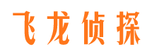 楚州私家侦探公司